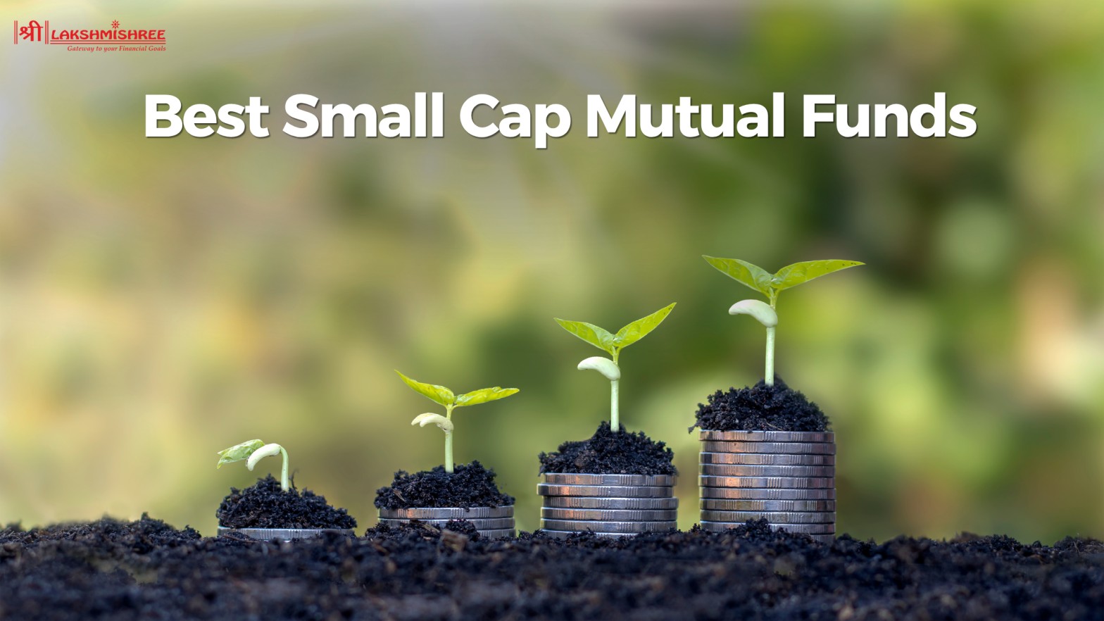 10 Best Small Cap Mutual Funds in India 2025