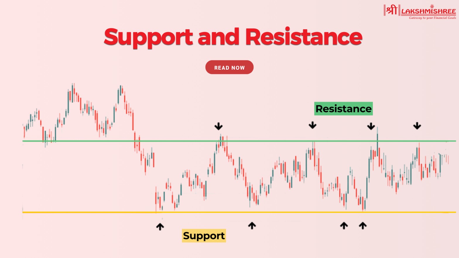 Support and Resistance in Trading: Strategies & Indicators