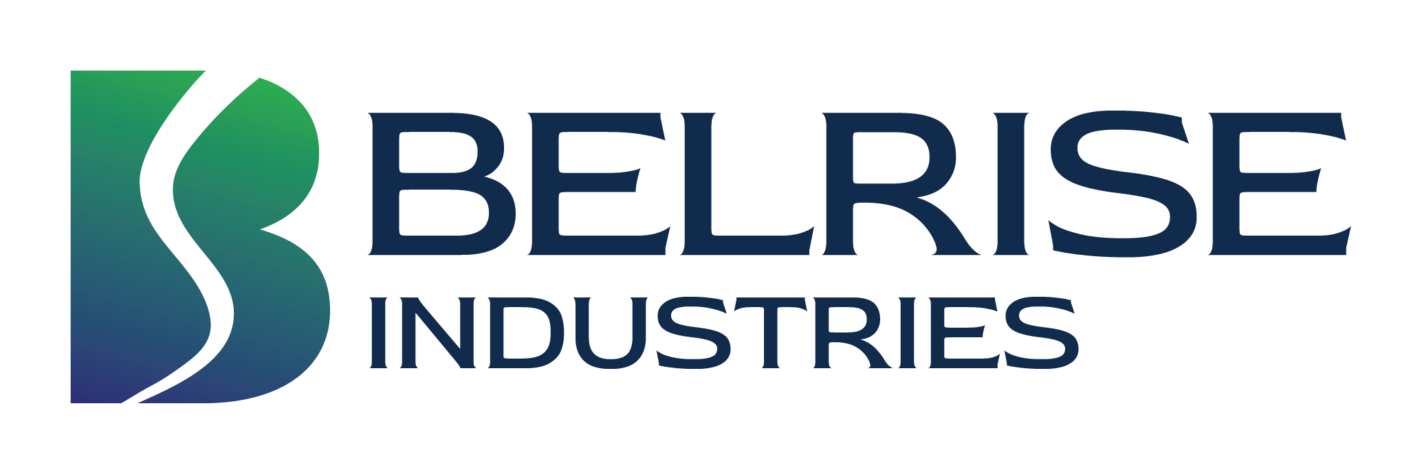 Belrise Industries IPO