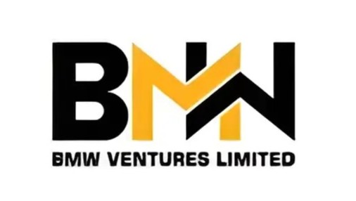 BMW Ventures IPO