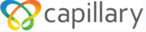Capillary Technologies India Limited